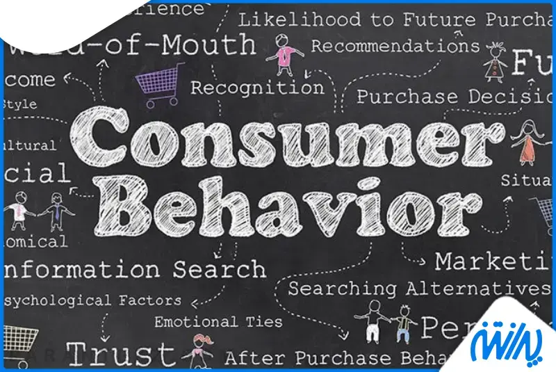 رفتار مصرف کننده چیست
